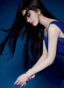 本届论坛共有99个代表团、19国长、14队总长（国 